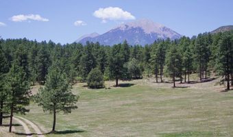 28111 County Rd 41.4, Aguilar, CO 81020