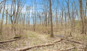 V/L Watts Road, Allegan, MI 49010