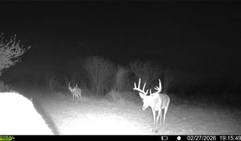 CR 119 lot 0, Alice, TX 78332