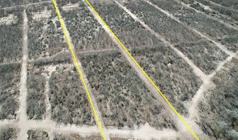 179 County Road 1461 Lot 9, Alice, TX 78332
