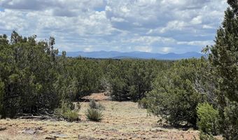 Tbd County Road 8309, Concho, AZ 85924