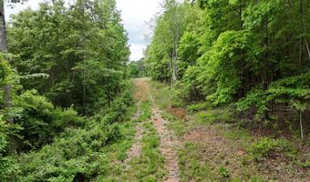 6020 Eaglewood Ln, Birchwood, TN 37308