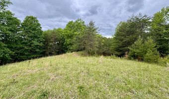 2062 Jake Fork Rd, Arnoldsburg, WV 25234