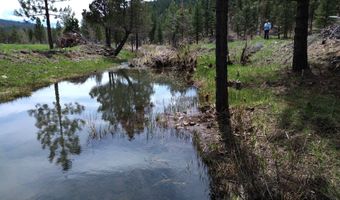 Roney Flat Road, Adin, CA 96006