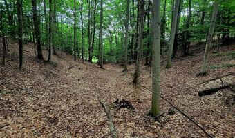 M22 Northwood Hwy, Arcadia, MI 49613