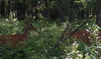 Ev1126 Petrarch Trail & Cummings Lane, Albrightsville, PA 18210