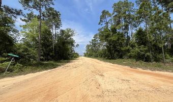 Holly Springs Avenue, Alford, FL 32420