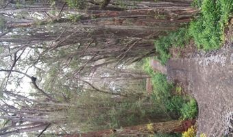46-3821 PUAONO Rd 107, Honokaa, HI 96727