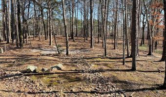 28 Granada Dr, Hot Springs Village, AR 71909