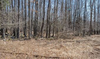 7985 ROCK LODGE Rd, Accident, MD 21520