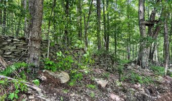 0 Woodland Hills Rd, Andes, NY 13731
