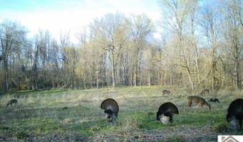 Sandy Branch Road, Bardwell, KY 42023