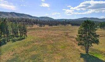 1 A FOREST ROAD 26, Alpine, AZ 85920