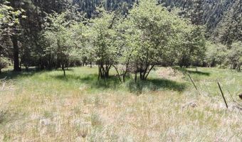 400 Bobcat Dr, Ahsahka, ID 83520