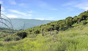 466 GARDNER RIDGE Rd, Brookings, OR 97415