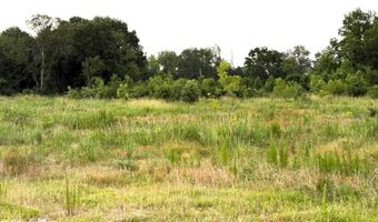 1071 LR 3, Ashdown, AR 71822