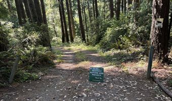 Silver Creek RD 2, Gold Beach, OR 97444