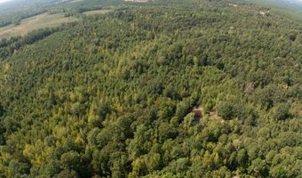 Cr 816, Blue Mountain, MS 38610