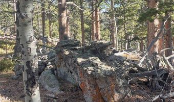 399 N Skinner Rd, Allenspark, CO 80510