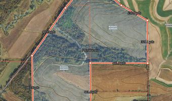 112 95 Acres Dougherty Creek Rd, Argyle, WI 53504