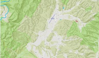 88 Cherry Ln, Arbovale, WV 24915
