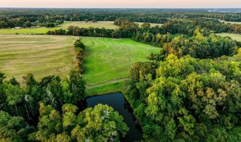 100 Acres Harmony Church Rd, Andalusia, AL 36421