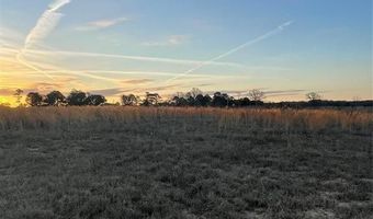 1125 E Hartline, Benton, LA 71006