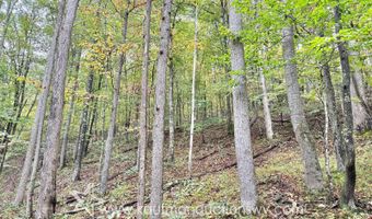 Jesse Run Rd, Arnoldsburg, WV 25234