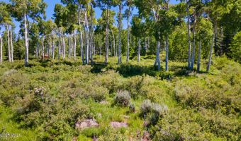 114 Goldenrod, Avon, CO 81620