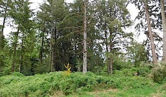 Knappa Dock RD, Astoria, OR 97103