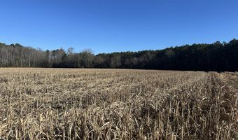 0 Bivalve Lodge Rd, Bivalve, MD 21814