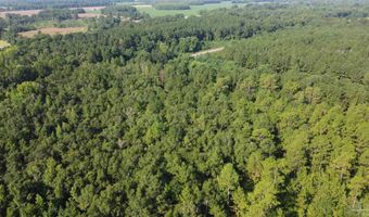 0 Lowery Rd Lot #11, Atmore, AL 36502