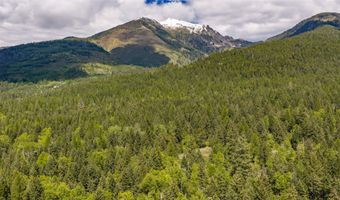 Nhn Red Hawk Drive, Bigfork, MT 59911