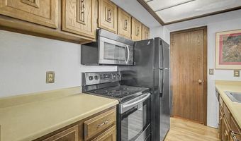 107 N Harris St 209, Breckenridge, CO 80424