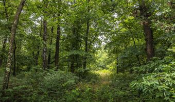 1569 Spider K Rd, Anderson, MO 64831