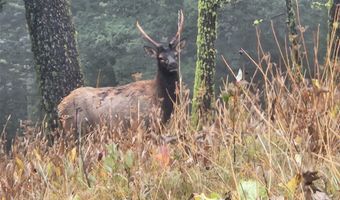 Tbd TBD, Big Timber, MT 59011