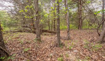 493 County Road 151, Alton, MO 65606