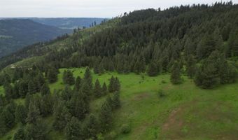 1510 Summitview Driave, Ahsahka, ID 83520