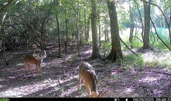Putnam Road, Belzoni, MS 39038