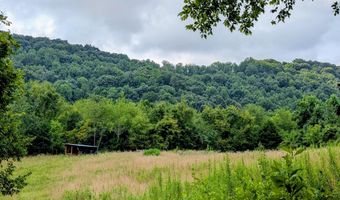 1385 Betsy Ross Rd, Afton, TN 37616