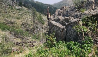 693 Cougar Dr, Bellvue, CO 80512