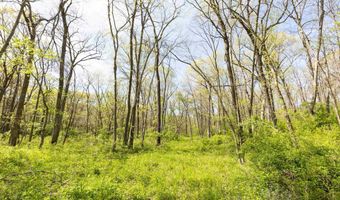 Tbd 194th Avenue, Argyle, IA 52619