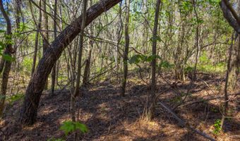 5508 Sealy Ann Mountain Rd, Adger, AL 35006