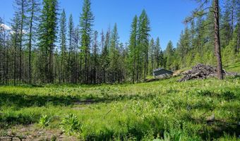 NKA Meadowland Drive, Blanchard, ID 83804