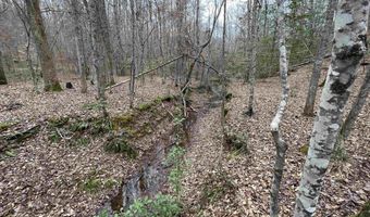 34655 Co Rd 49, Beaverton, AL 35544