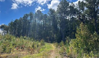 60 Ac Shannon Rd, Blackstock, SC 29014