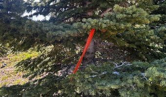 115 S Olympic Dr, Brian Head, UT 84719