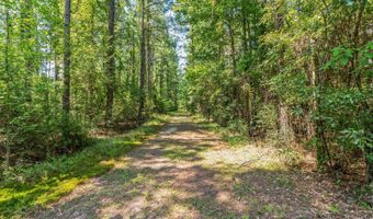 66177 Live Oak Rd, Angie, LA 70426