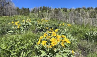 Tbd Nwne DEER HAVEN Road, Bondurant, WY 82922