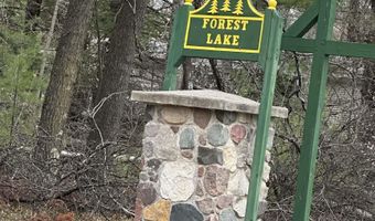 VL Pineview Court, Alger, MI 48610